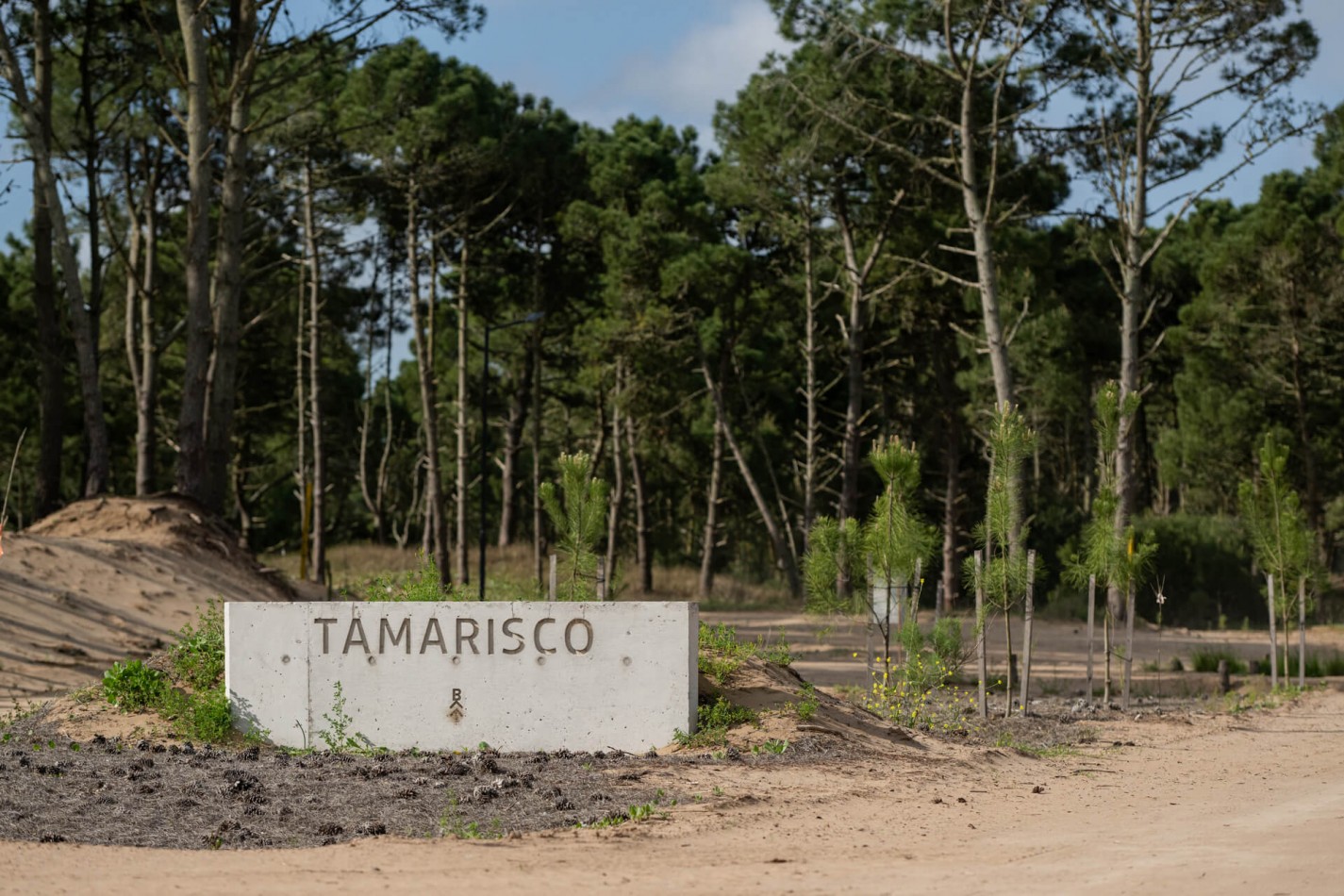 LOTE EN VENTA EN BOSQUES DE PINAMAR NORTE