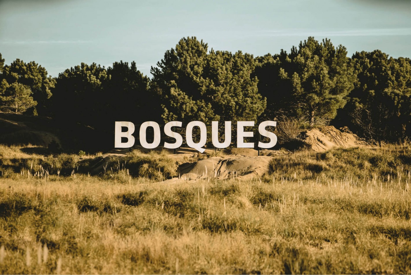 LOTE EN VENTA EN BOSQUES DE PINAMAR NORTE