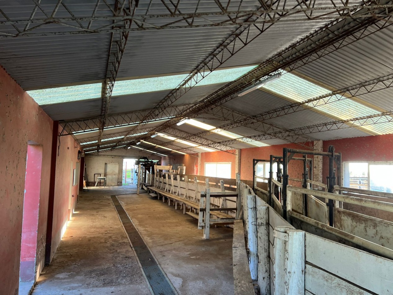 IMPORTANTE CAMPO EN VENTA 802 HAS A 100 KM DE BAHIA BLANCA 