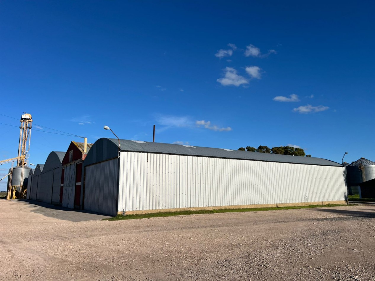 IMPORTANTE CAMPO EN VENTA 802 HAS A 100 KM DE BAHIA BLANCA 