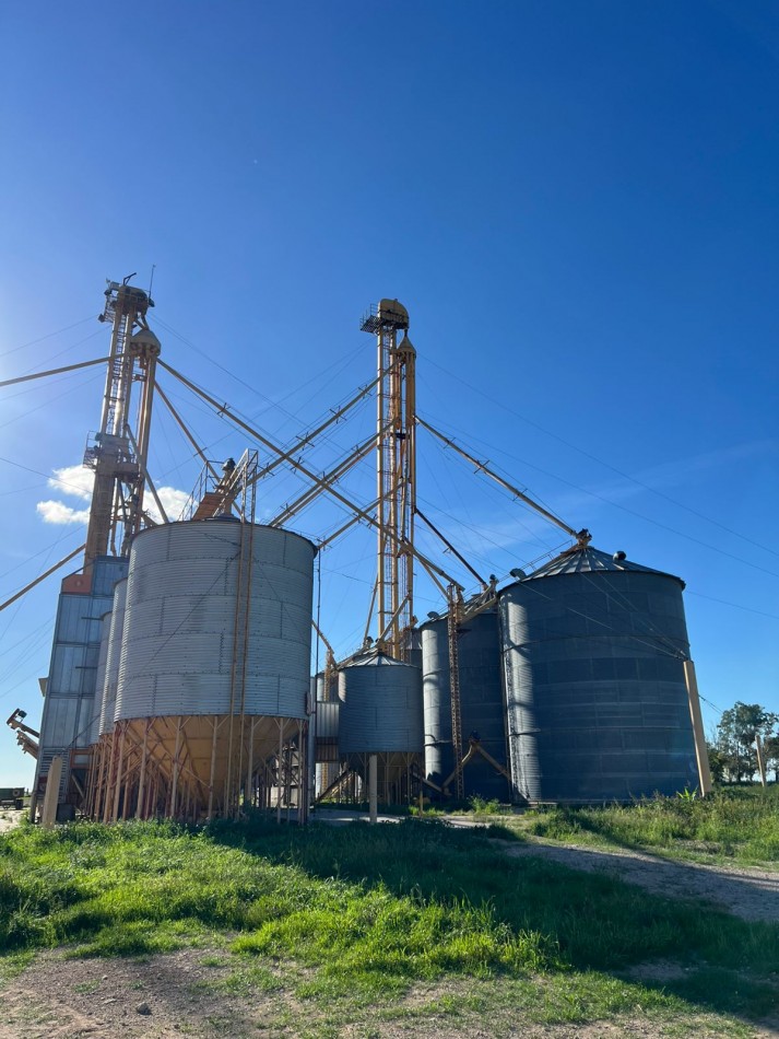 IMPORTANTE CAMPO EN VENTA 802 HAS A 100 KM DE BAHIA BLANCA 