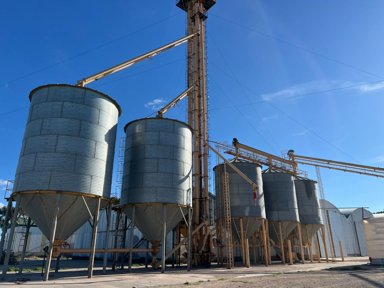 IMPORTANTE CAMPO EN VENTA 802 HAS A 100 KM DE BAHIA BLANCA 