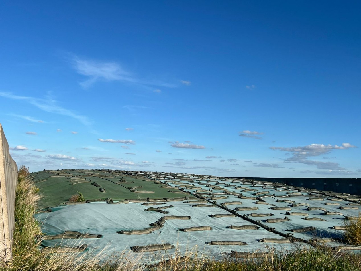 IMPORTANTE CAMPO EN VENTA 802 HAS A 100 KM DE BAHIA BLANCA 