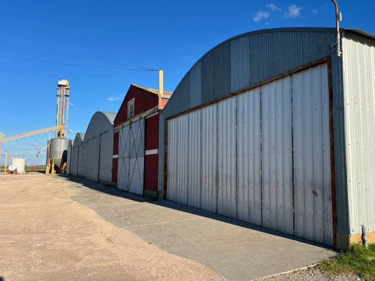IMPORTANTE CAMPO EN VENTA 802 HAS A 100 KM DE BAHIA BLANCA 