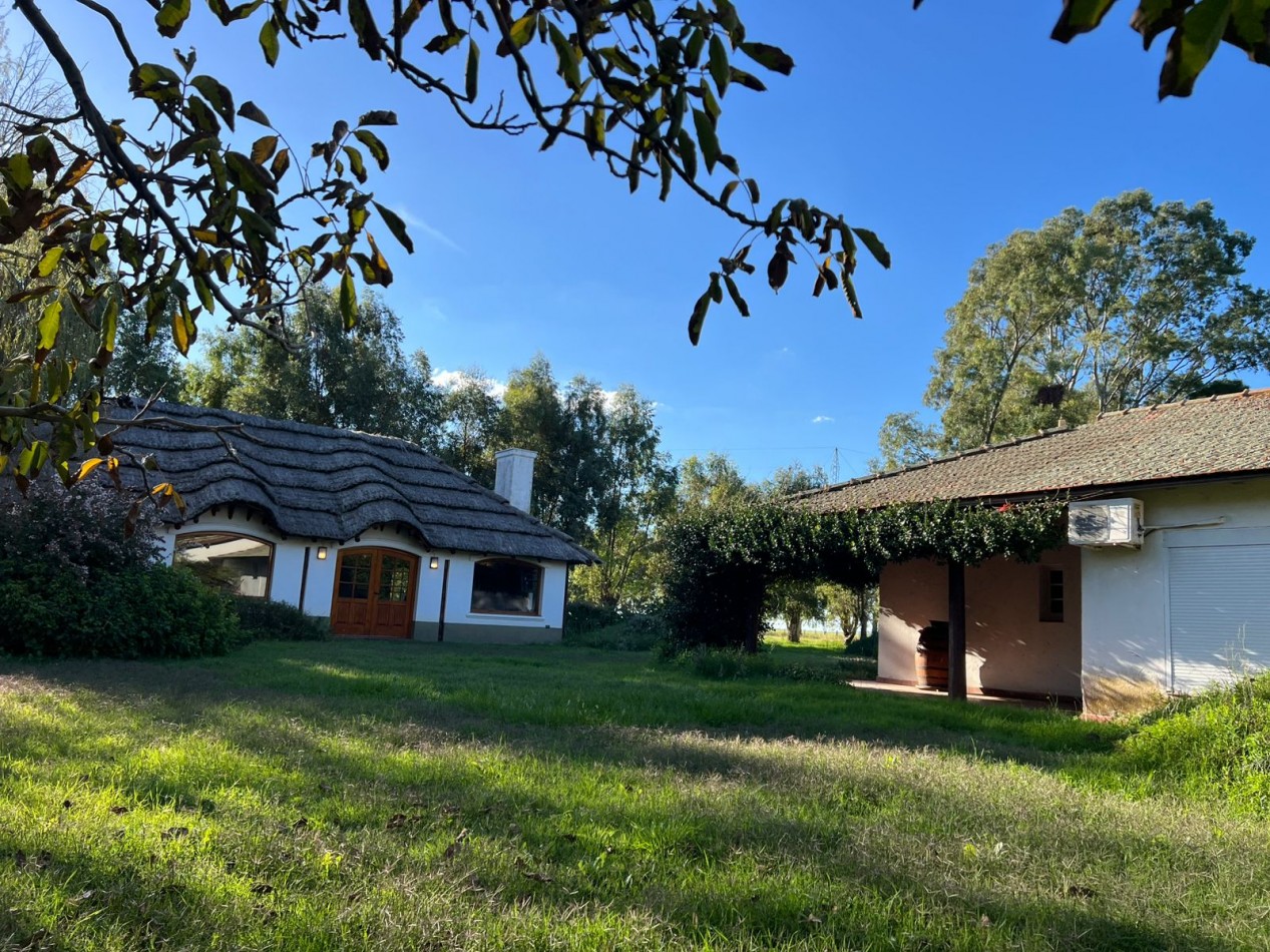 IMPORTANTE CAMPO EN VENTA 802 HAS A 100 KM DE BAHIA BLANCA 