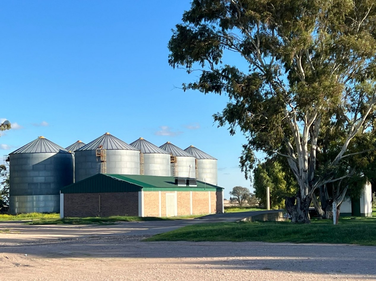 IMPORTANTE CAMPO EN VENTA 802 HAS A 100 KM DE BAHIA BLANCA 