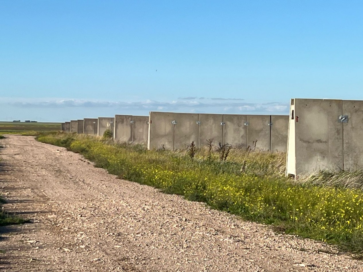 IMPORTANTE CAMPO EN VENTA 802 HAS A 100 KM DE BAHIA BLANCA 