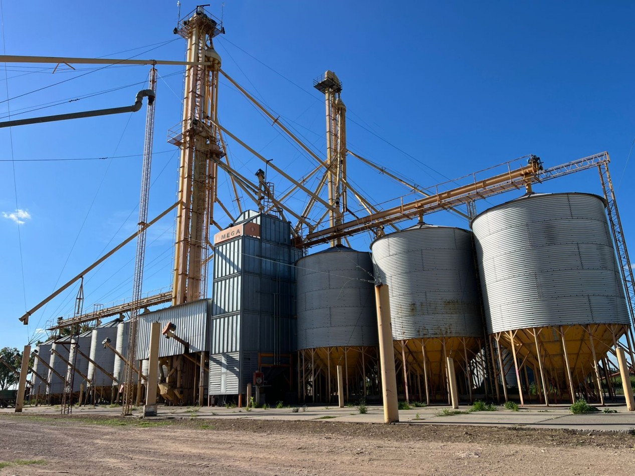IMPORTANTE CAMPO EN VENTA 802 HAS A 100 KM DE BAHIA BLANCA 
