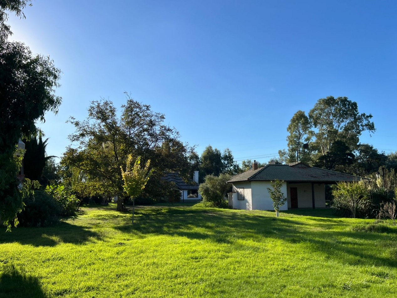 IMPORTANTE CAMPO EN VENTA 802 HAS A 100 KM DE BAHIA BLANCA 