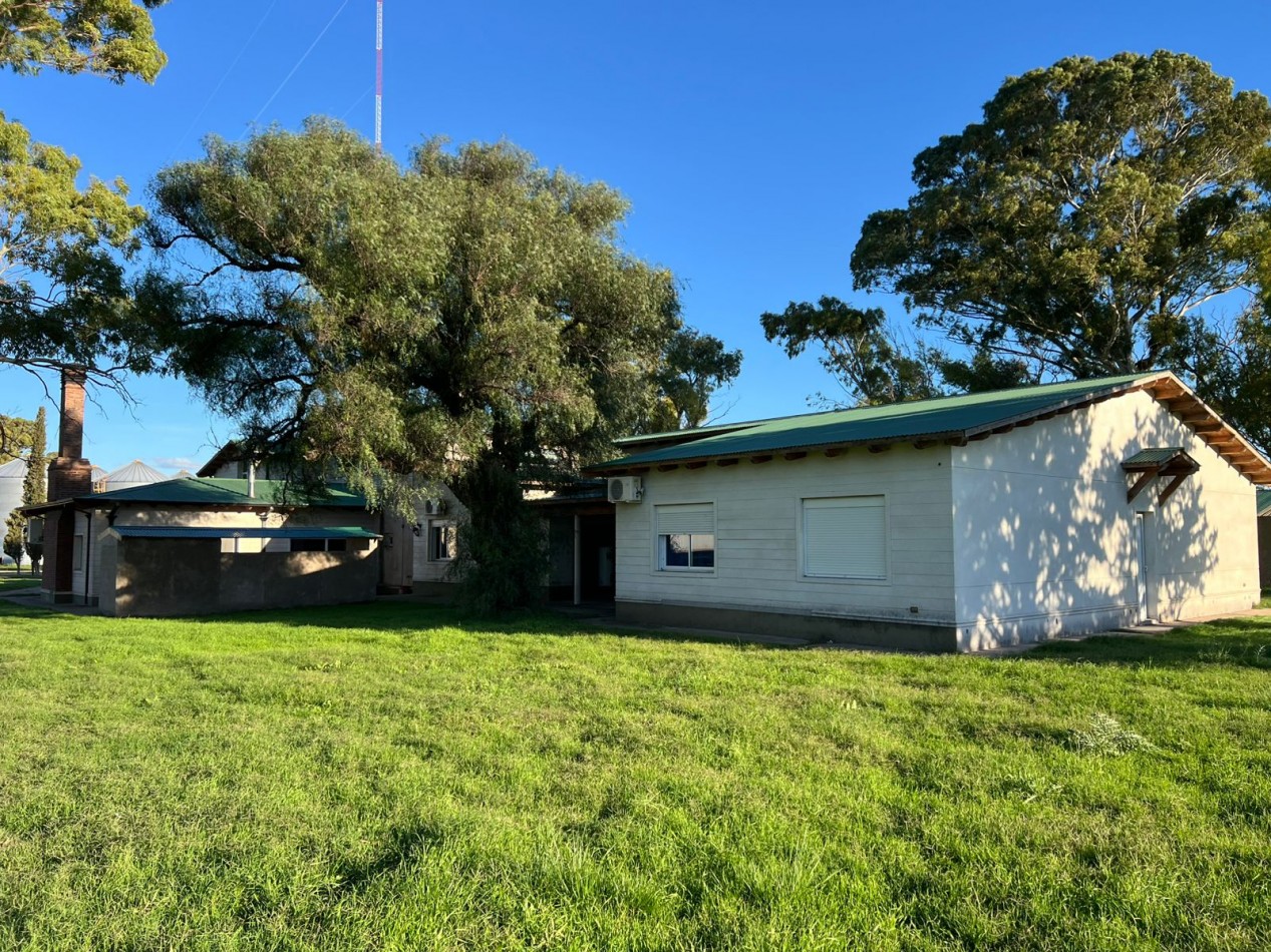IMPORTANTE CAMPO EN VENTA 802 HAS A 100 KM DE BAHIA BLANCA 