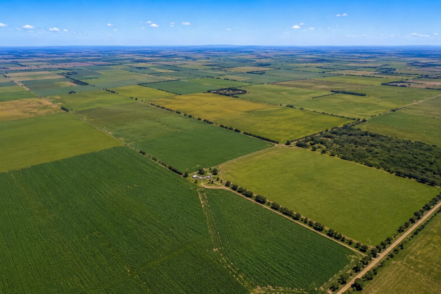 CAMPO MIXTO EN VENTA 348 HAS A 20 KM DE TRES ARROYOS 