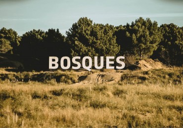 LOTE EN VENTA EN BOSQUES DE PINAMAR NORTE