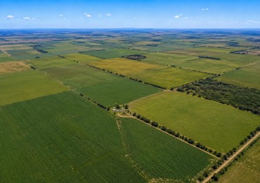 CAMPO MIXTO EN VENTA 348 HAS A 20 KM DE TRES ARROYOS 